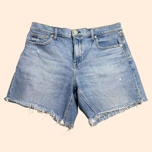 AYR Day Off Denim Shorts